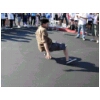 Guy Breakdancing 4