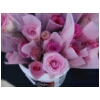 Pink Roses